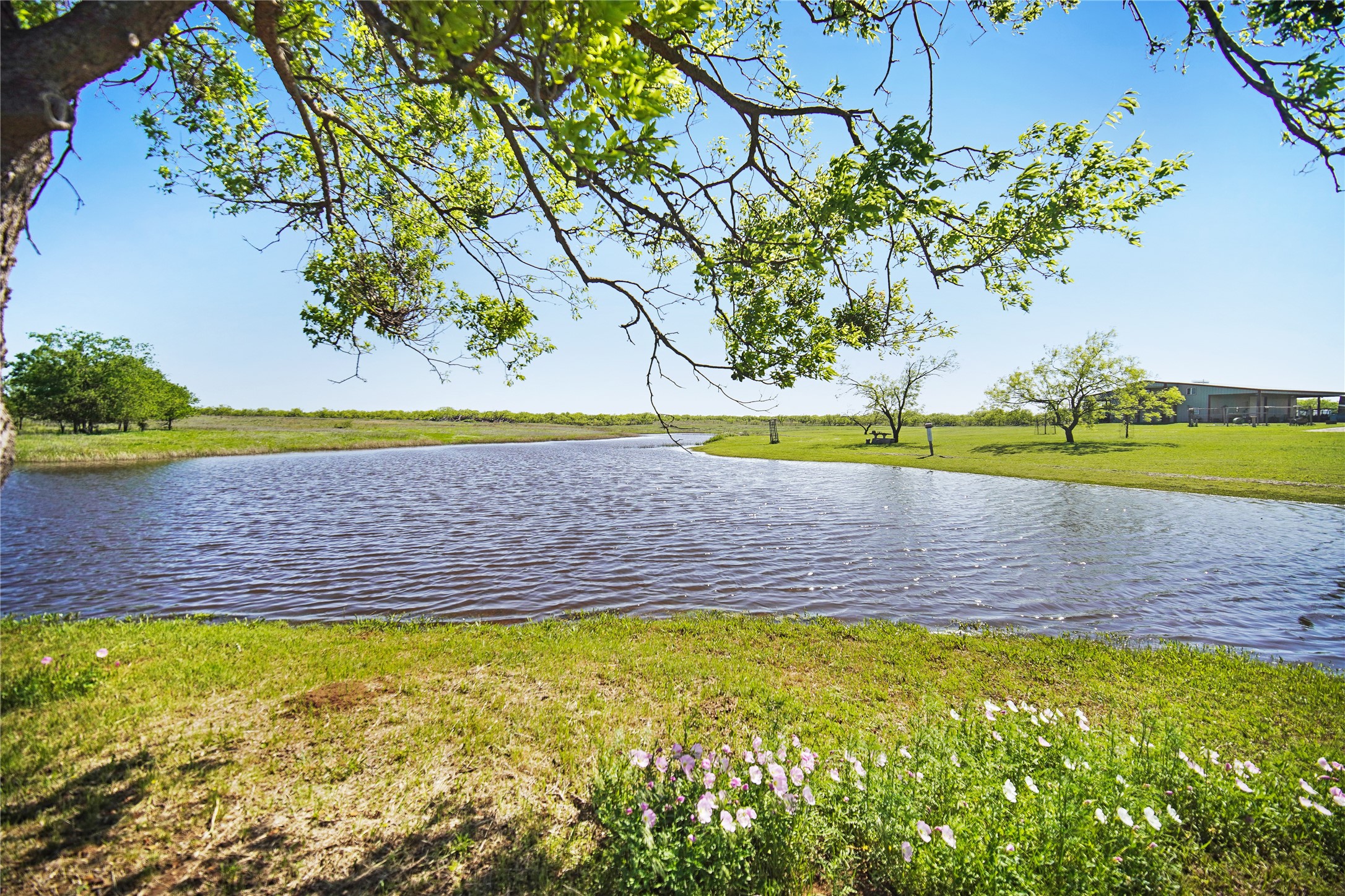8617 Farm To Market 175 Jacksboro TX 76458