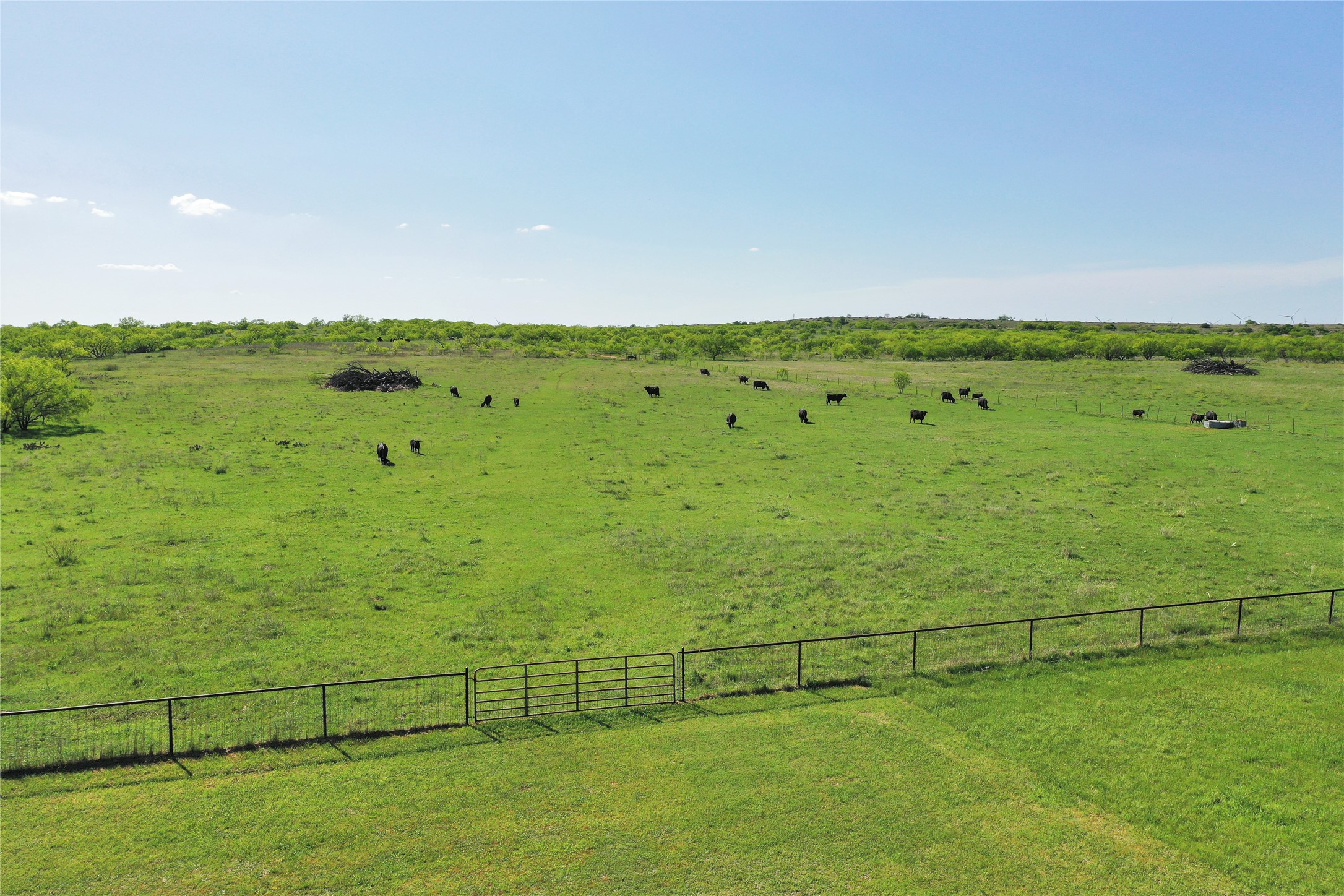 8617 Farm To Market 175 Jacksboro TX 76458