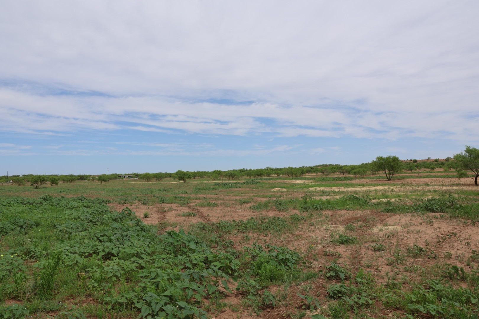 13558 B County Road 440 A Merkel TX 79536