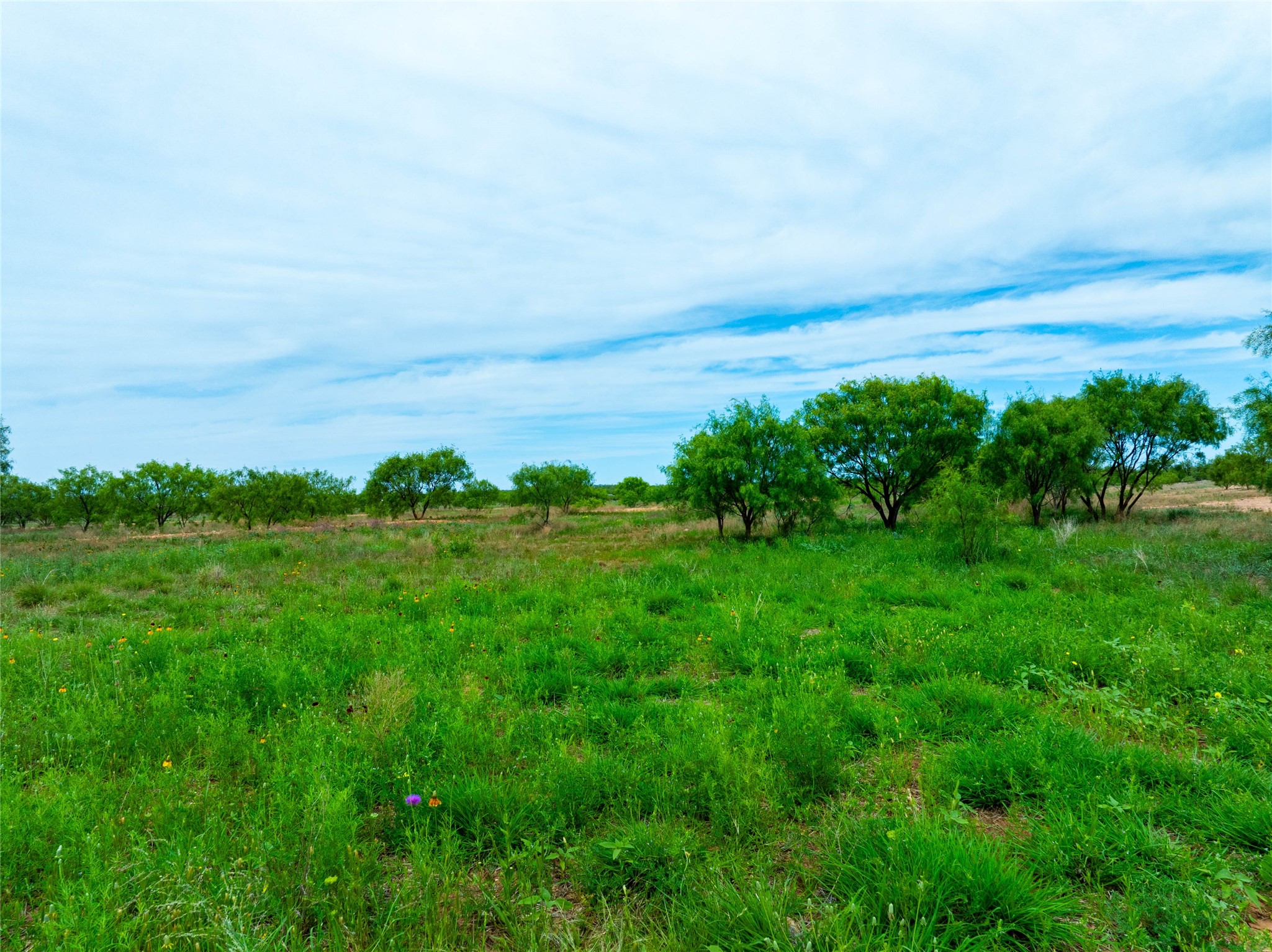 13558 B County Road 440 A Merkel TX 79536