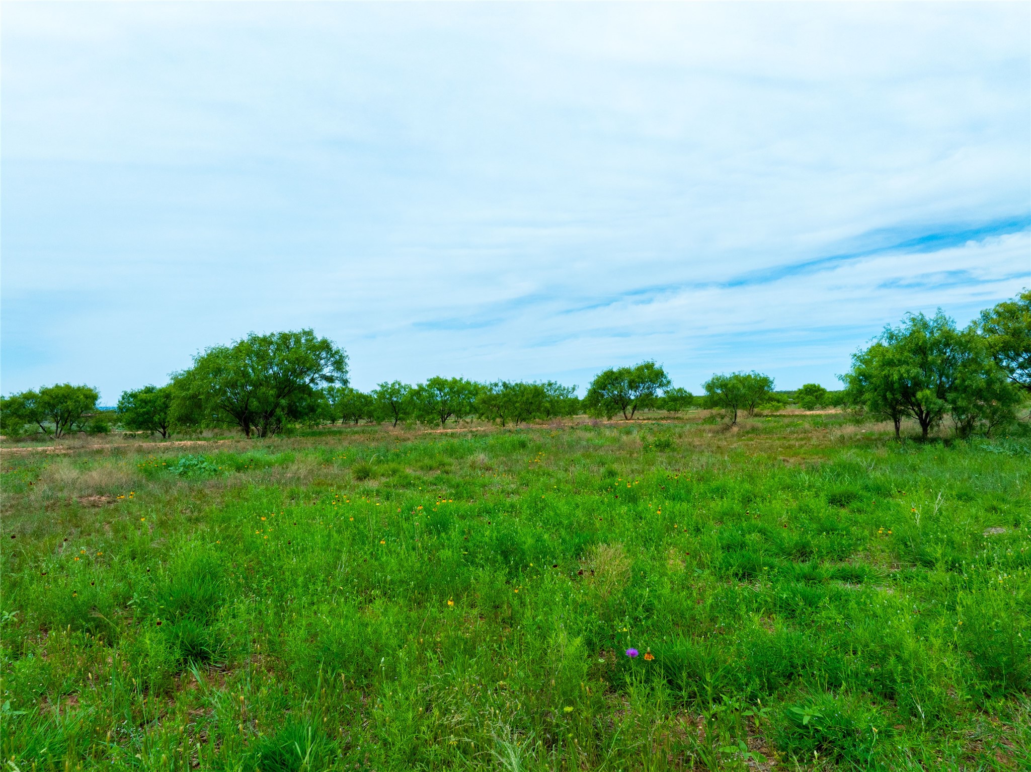 13558 B County Road 440 A Merkel TX 79536
