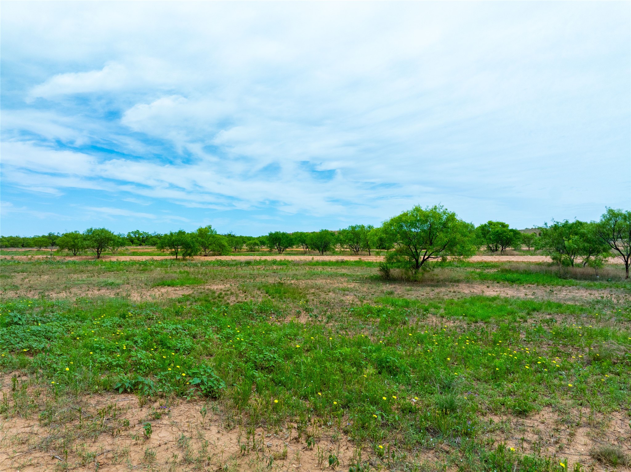 13558 B County Road 440 A Merkel TX 79536