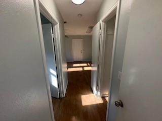 3624 Big Horn Trail Plano TX 75075