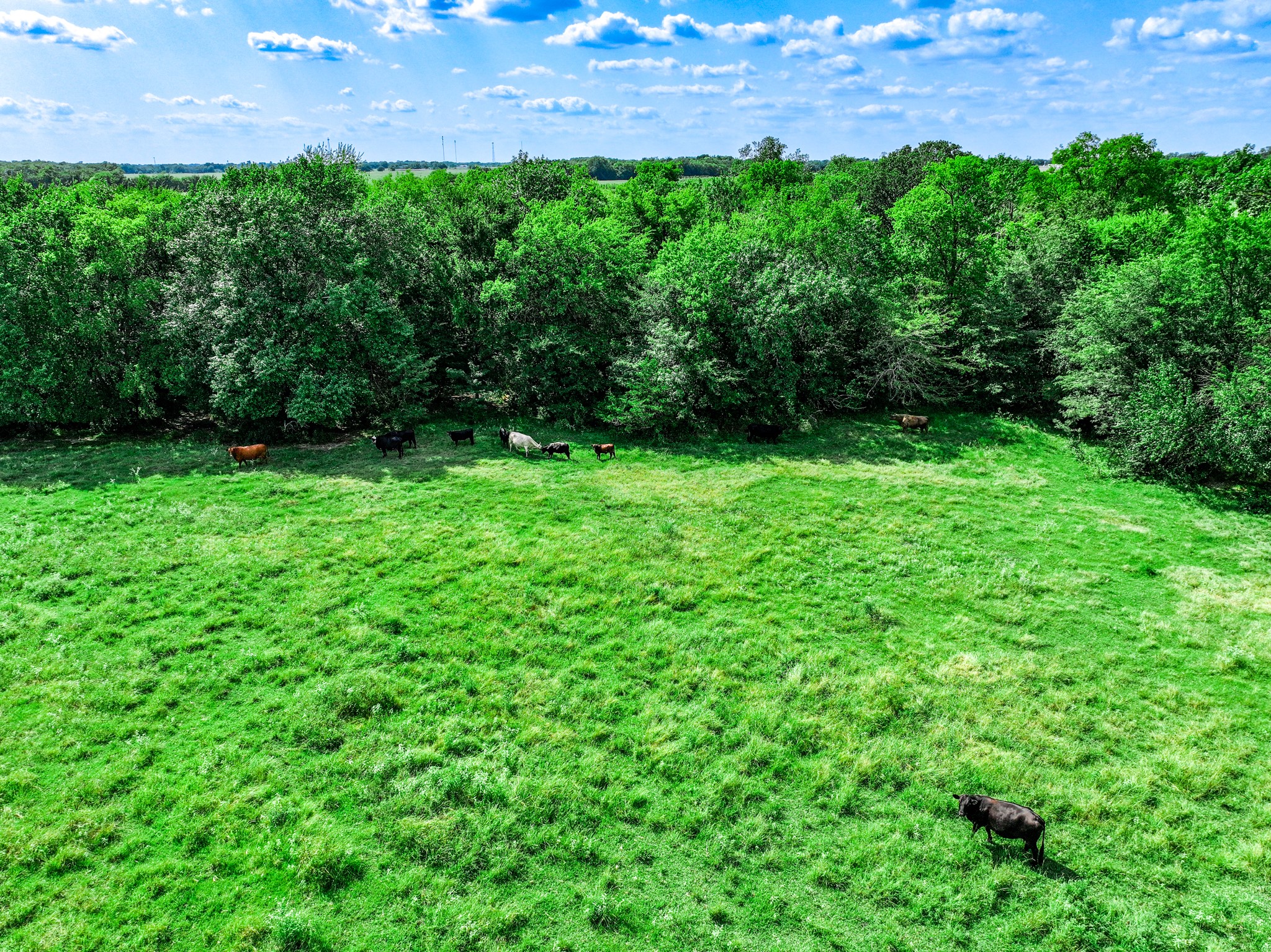 7801 W Interstate Highway 30 Cumby TX 75433