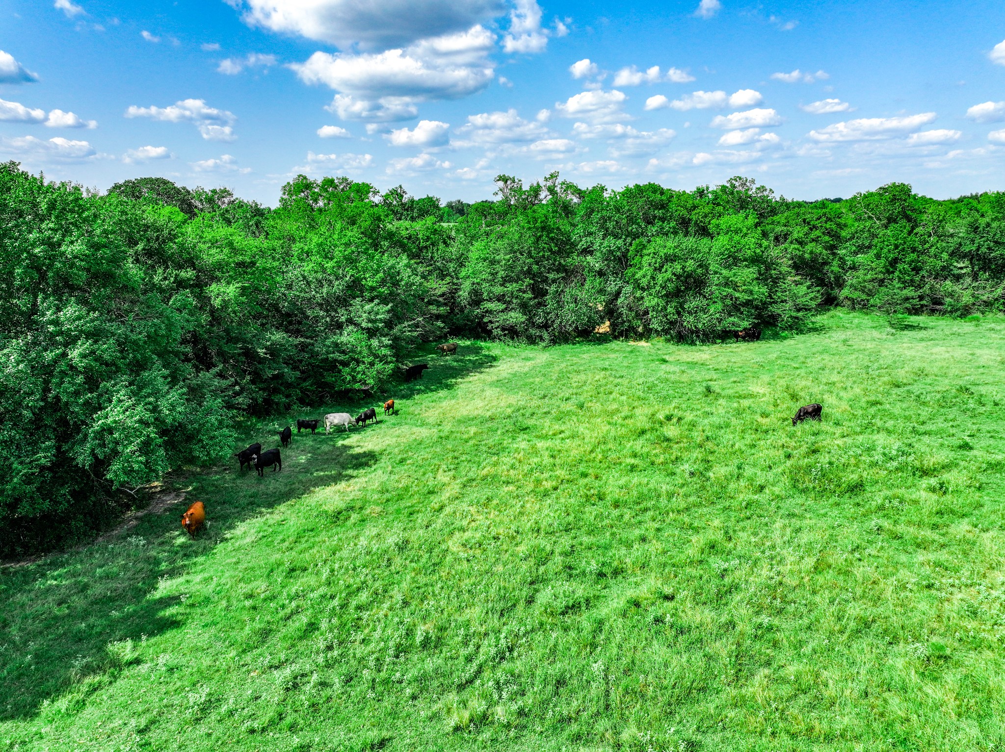 7801 W Interstate Highway 30 Cumby TX 75433