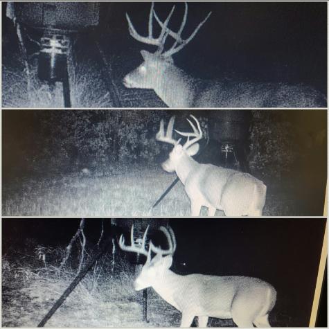3391 Fm 2190 Jacksboro TX 76458