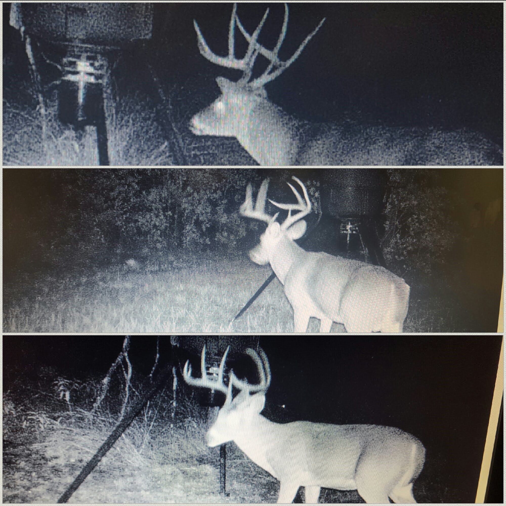 3391 Fm 2190 Jacksboro TX 76458