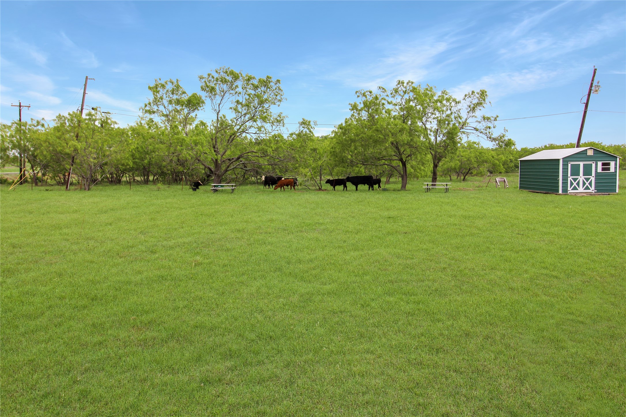 5955 Priscilla Lane Kaufman TX 75142