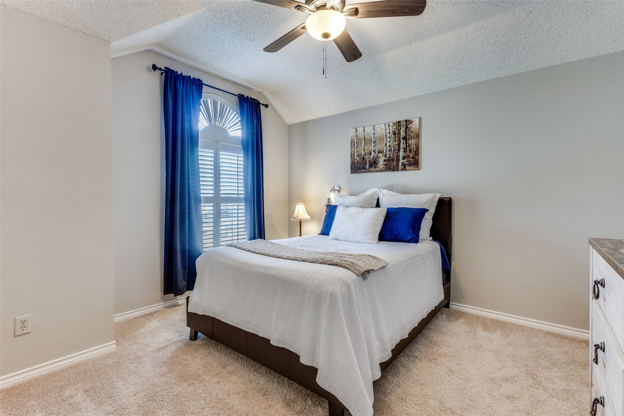 2628 Valley Creek Trail Mckinney TX 75072