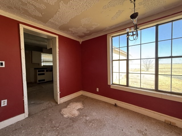 1112 County Road Y Plainview TX 79072