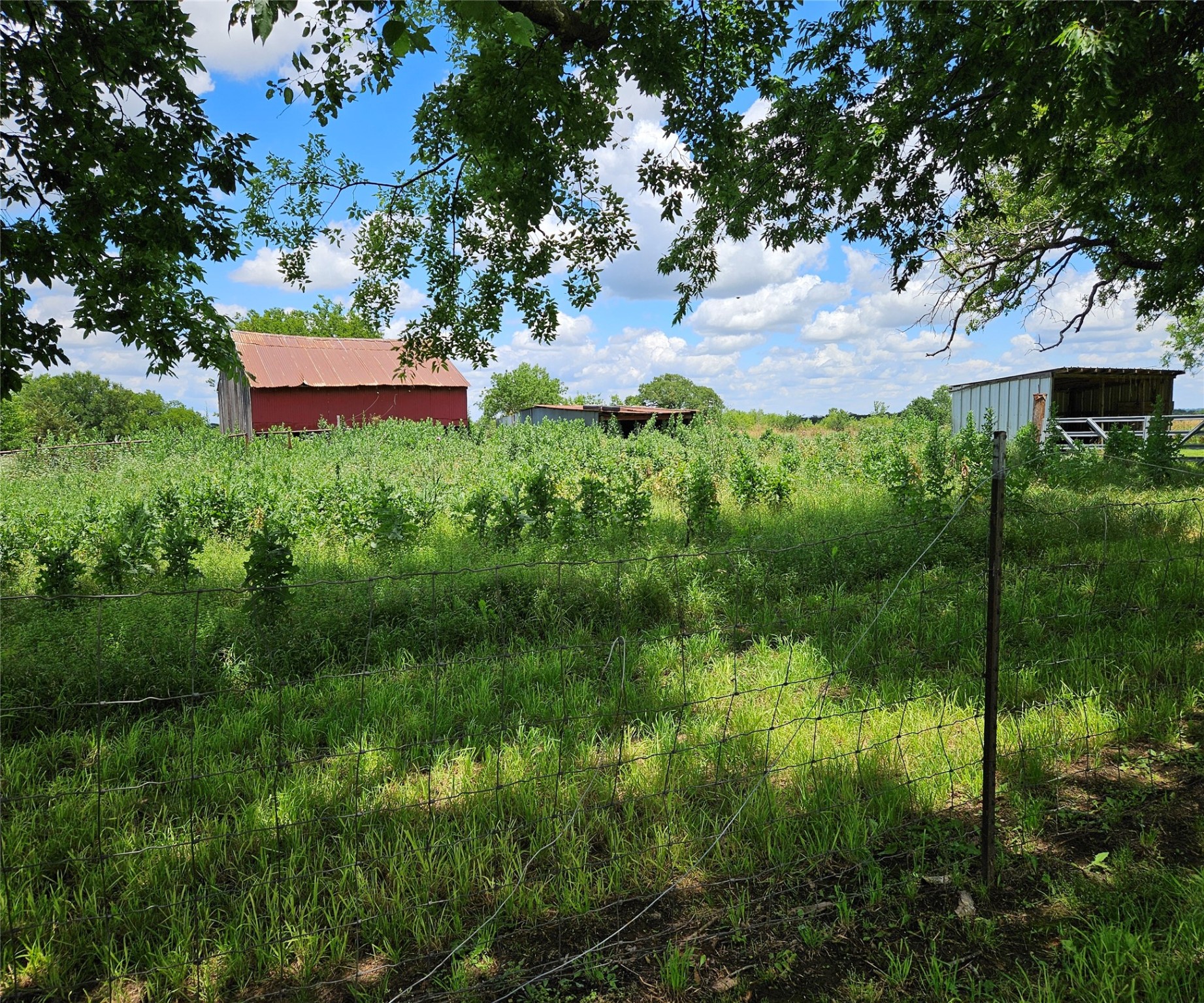 109 Bluebonnet Drive Paradise TX 76073
