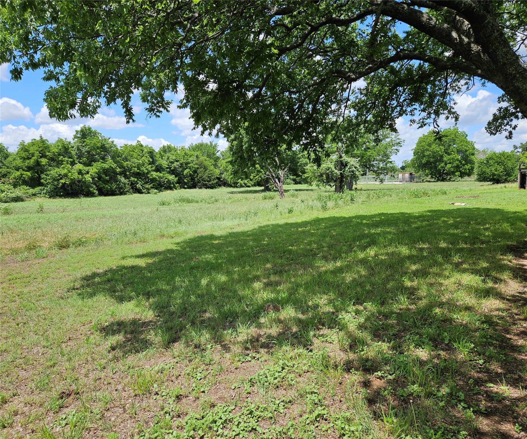 109 Bluebonnet Drive Paradise TX 76073