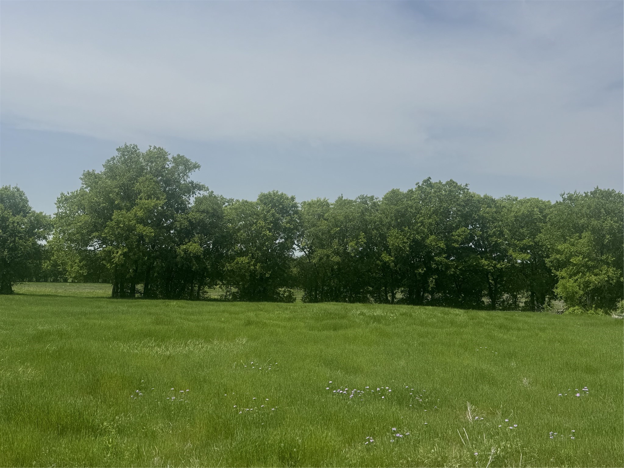 418 Private Road 4512 Decatur TX 76234