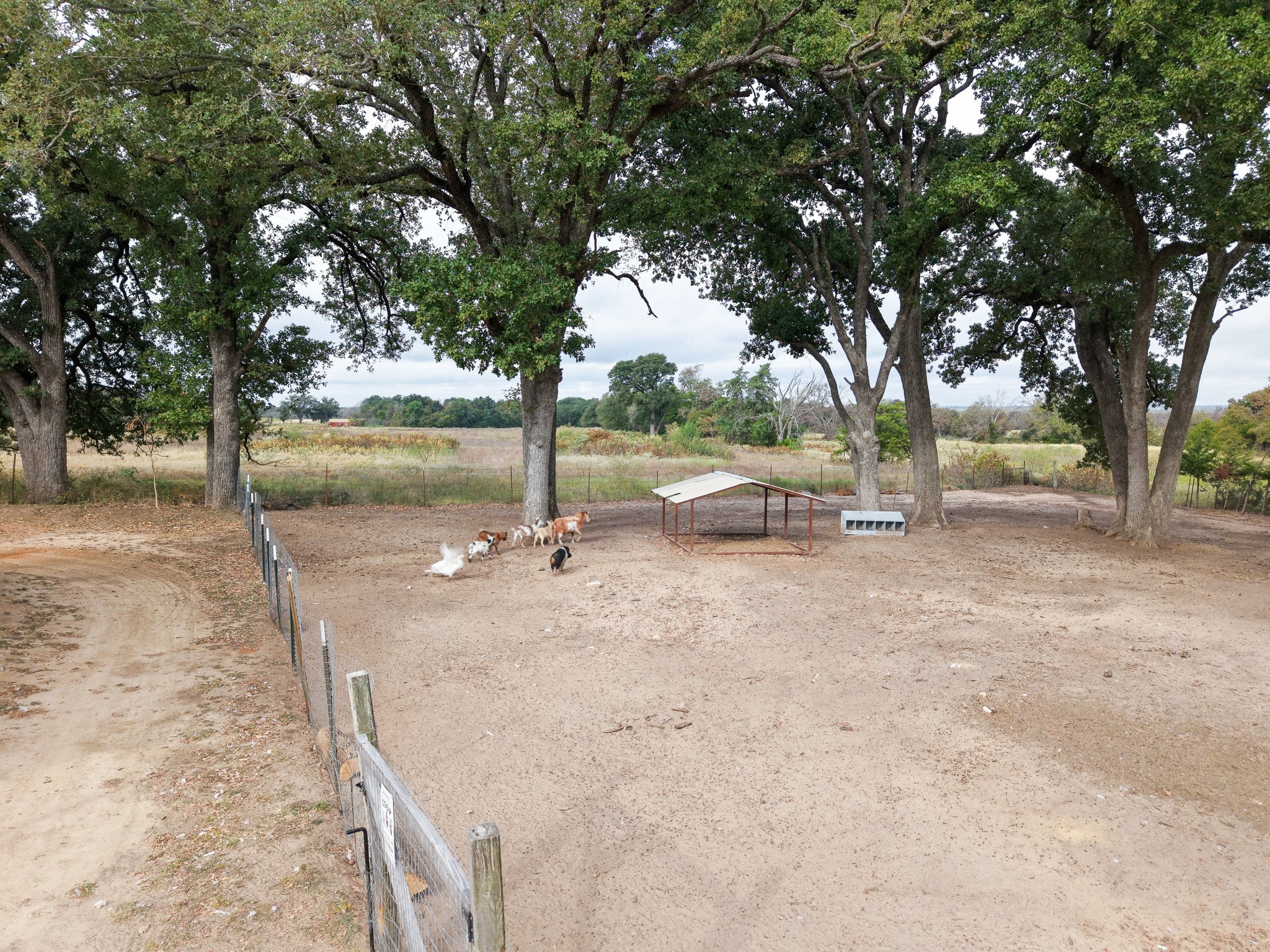 1170 Fm 1633 Mexia TX 76667