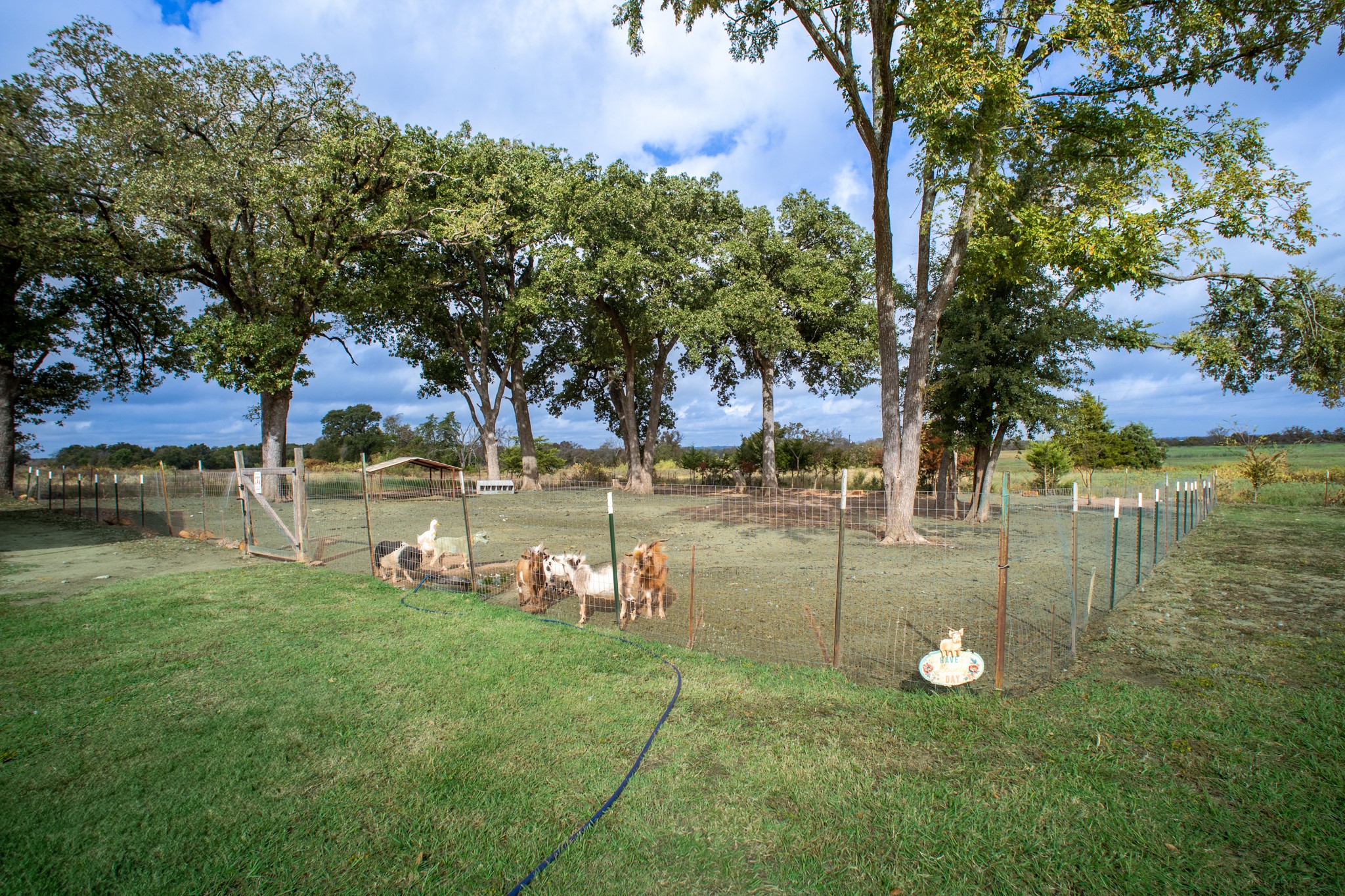 1170 Fm 1633 Mexia TX 76667