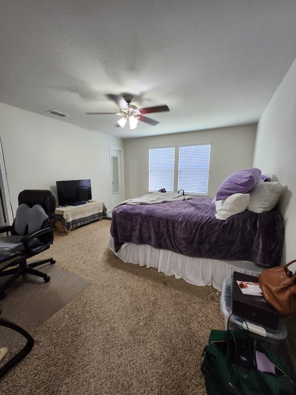 1713 Megan Creek Drive Little Elm TX 75068