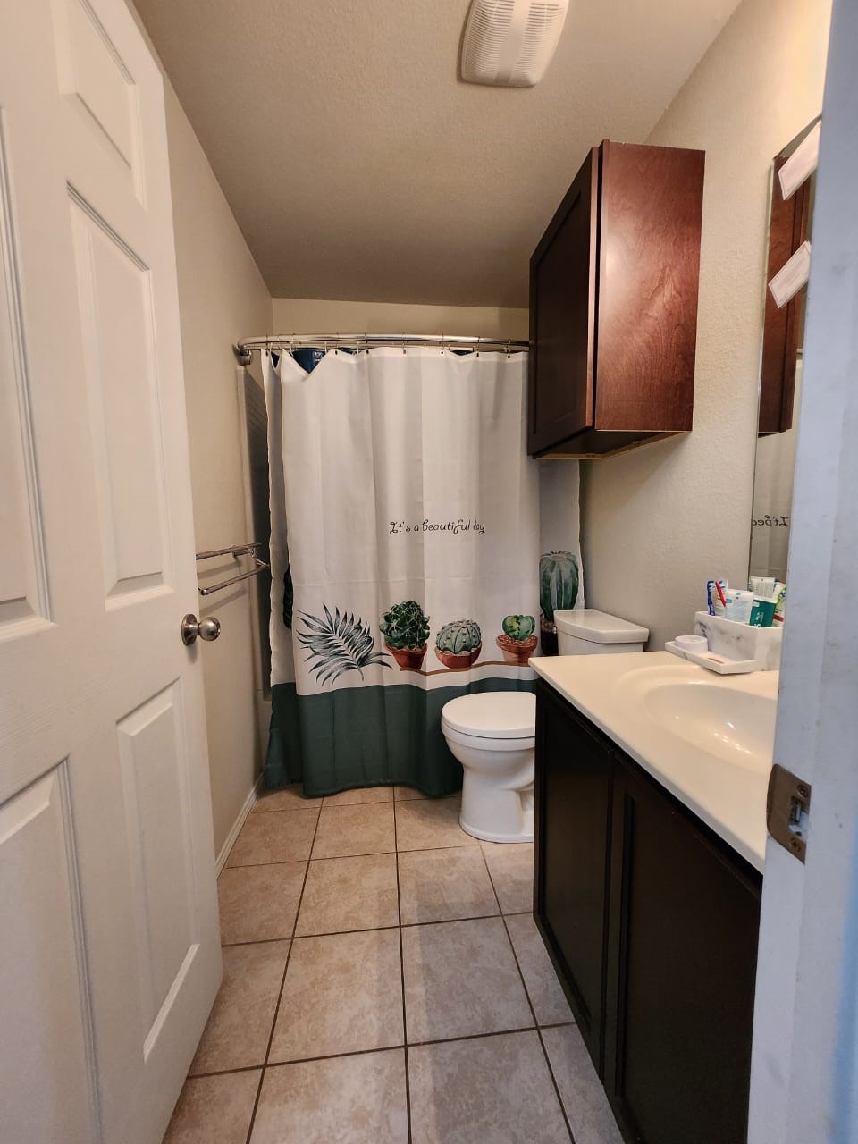 1713 Megan Creek Drive Little Elm TX 75068