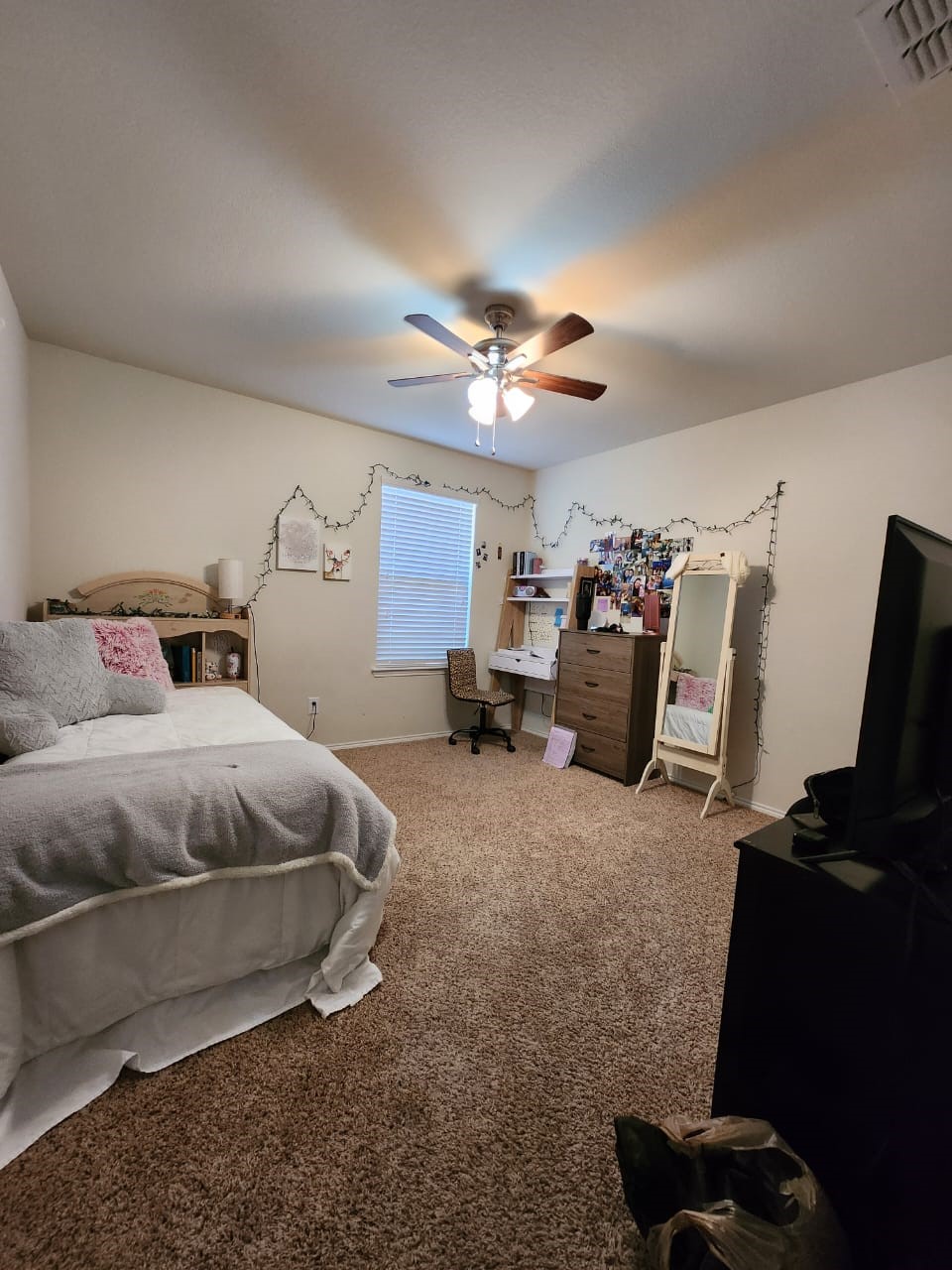 1713 Megan Creek Drive Little Elm TX 75068