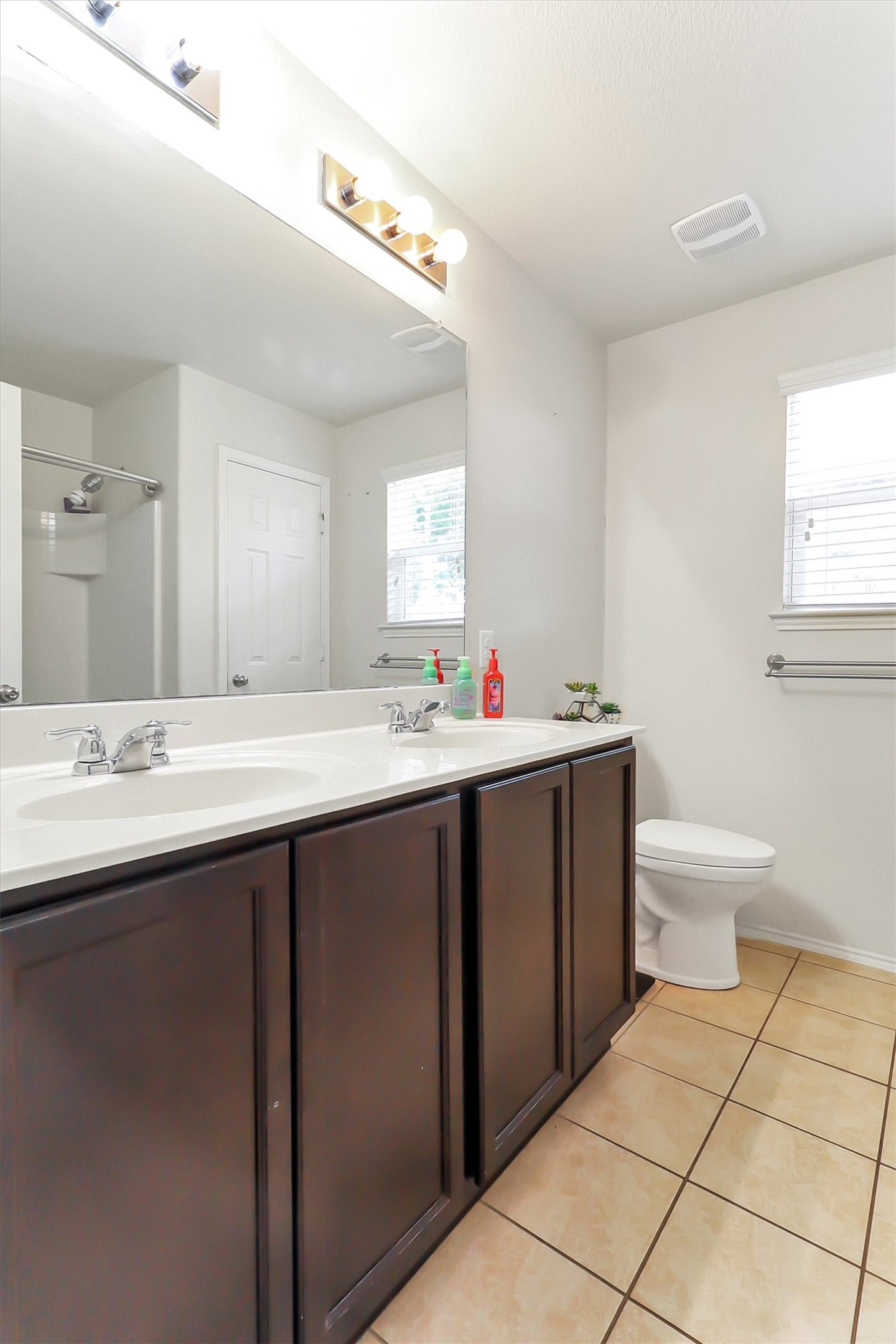 1713 Megan Creek Drive Little Elm TX 75068