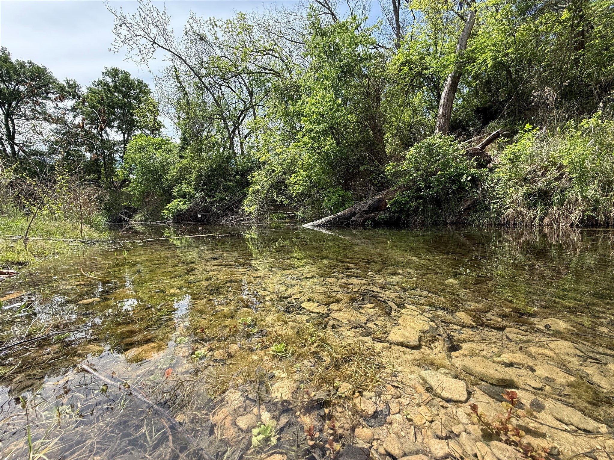 12031 Paradise Bluff Dale TX 76433