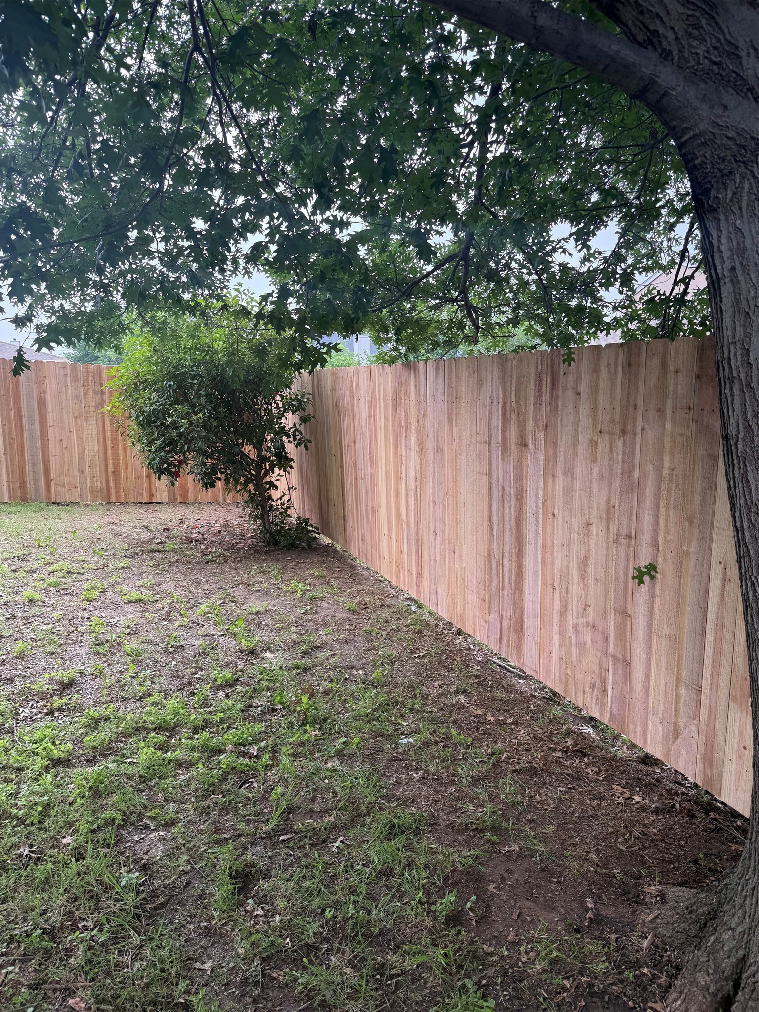 8712 Limestone Drive Fort Worth TX 76244
