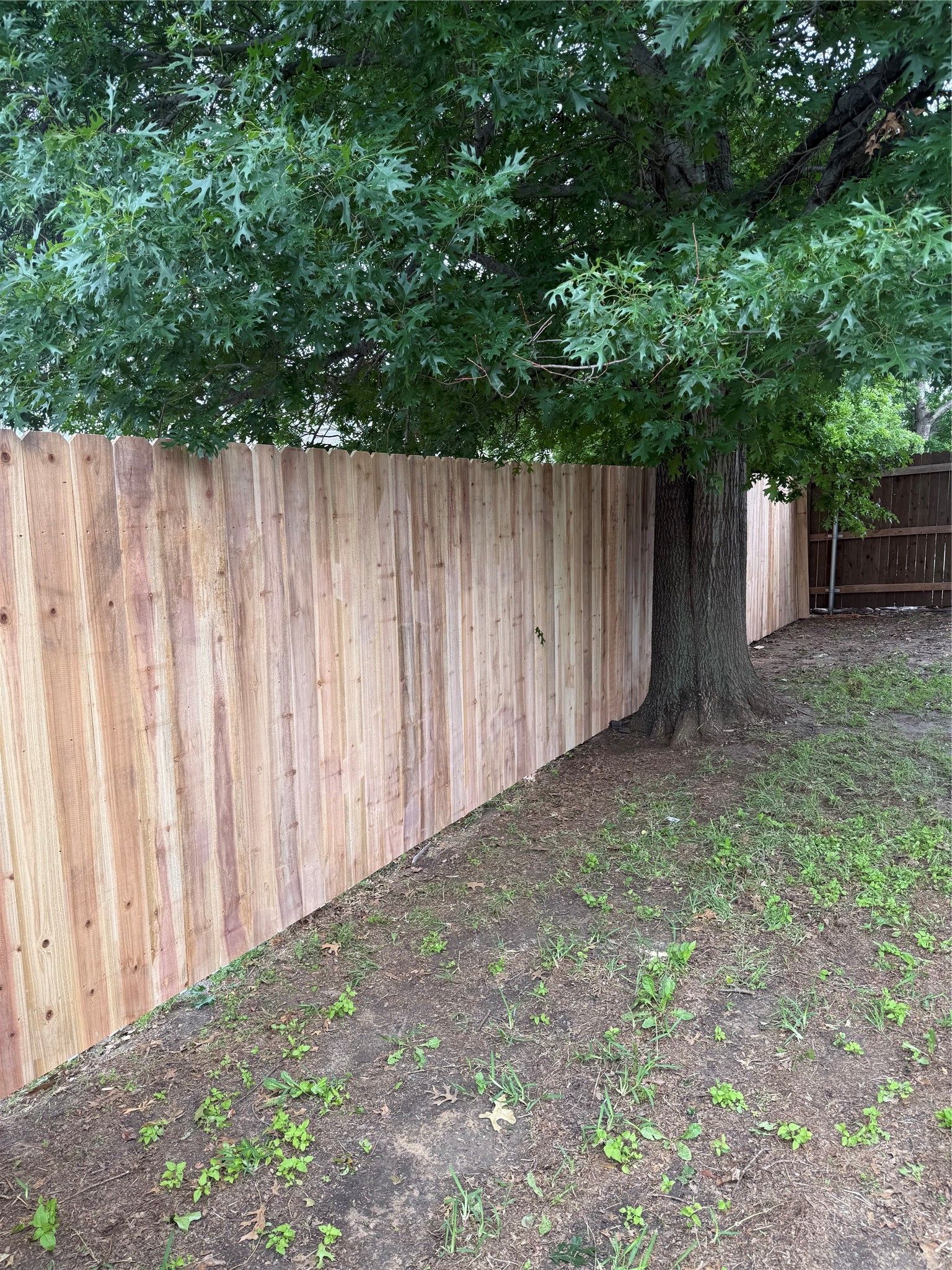 8712 Limestone Drive Fort Worth TX 76244
