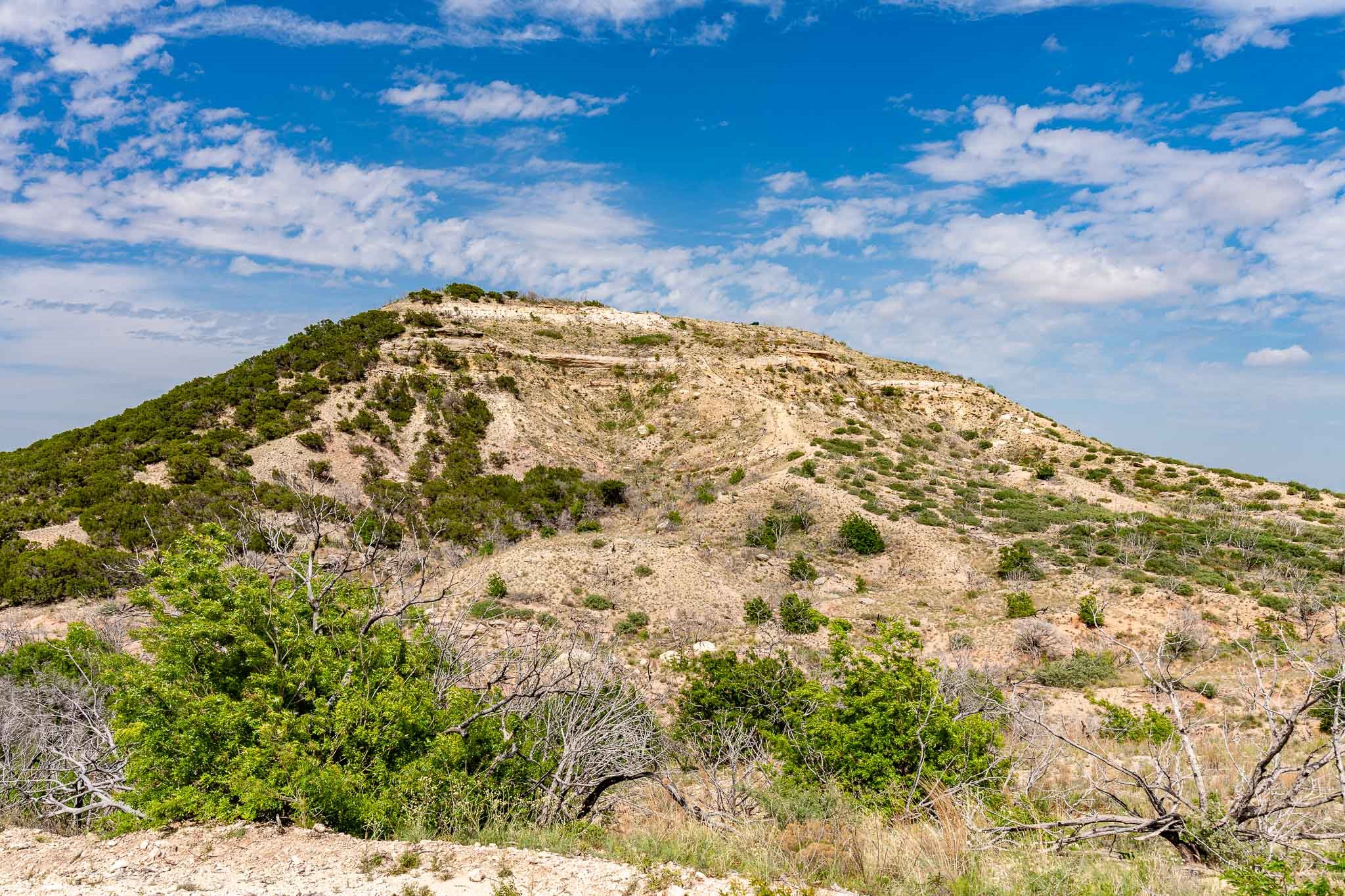 1032 Braune Road Abilene TX 79603