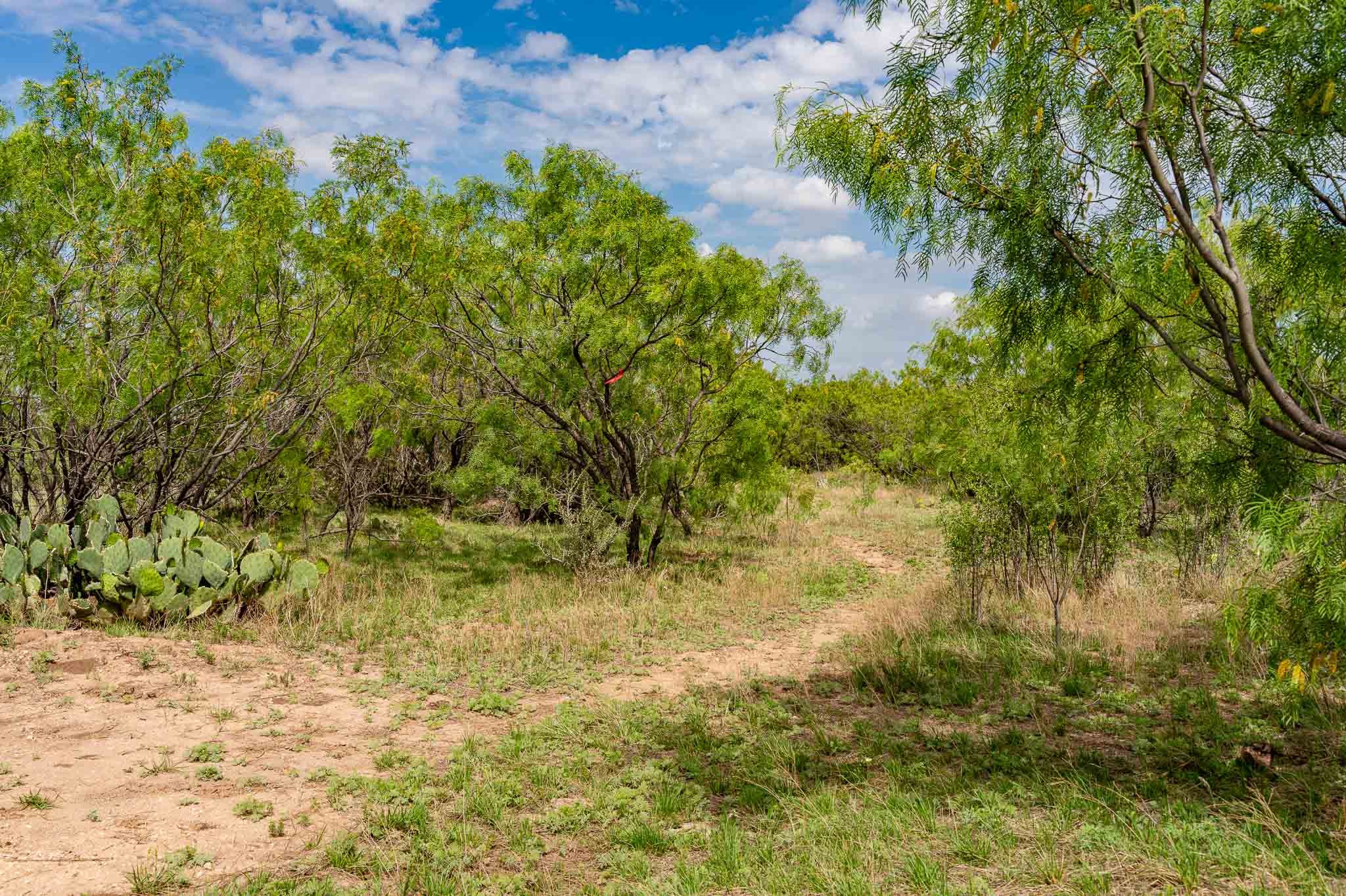 1032 Braune Road Abilene TX 79603