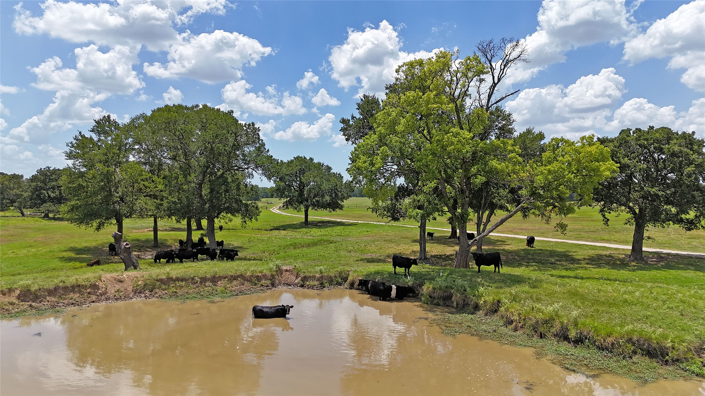 313 Vz County Road 3910 Wills Point TX 75169