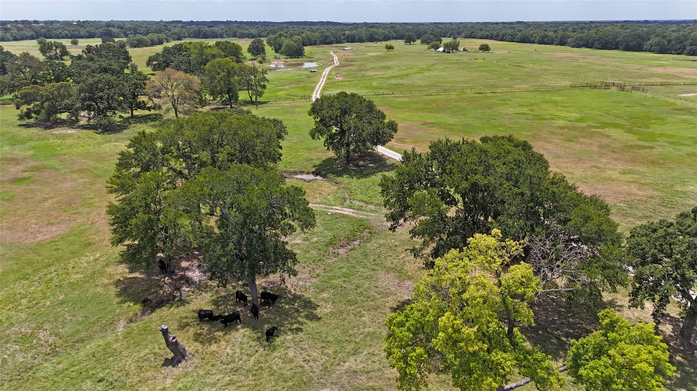 313 Vz County Road 3910 Wills Point TX 75169