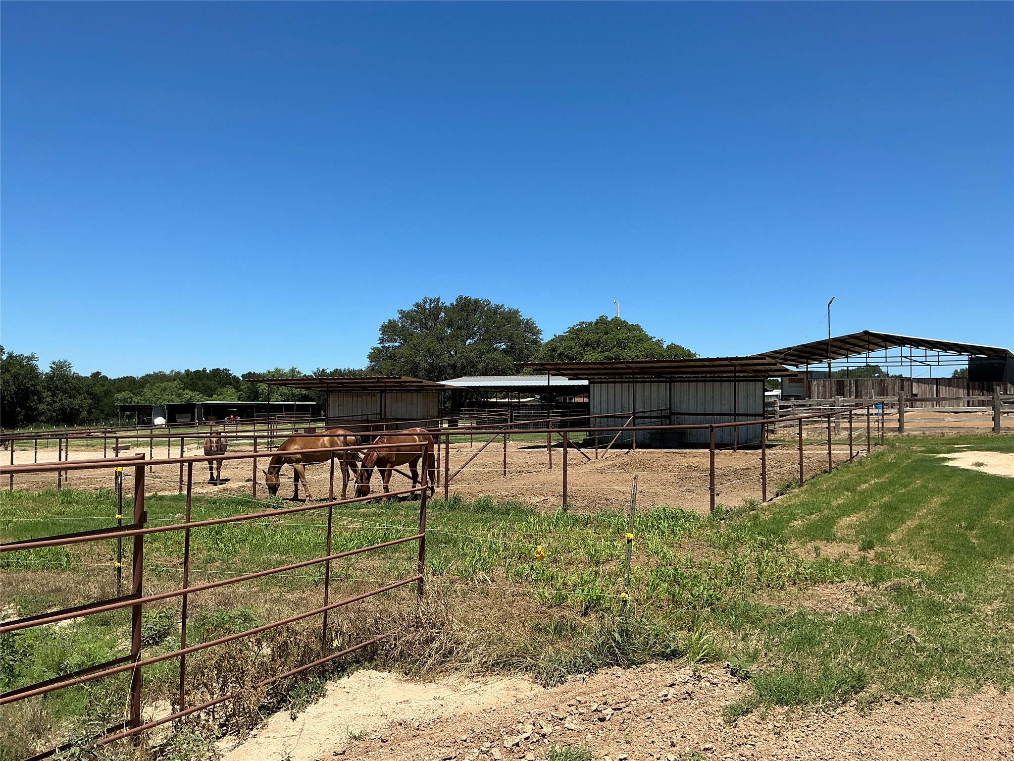 3900 County Road 304a Comanche TX 76442