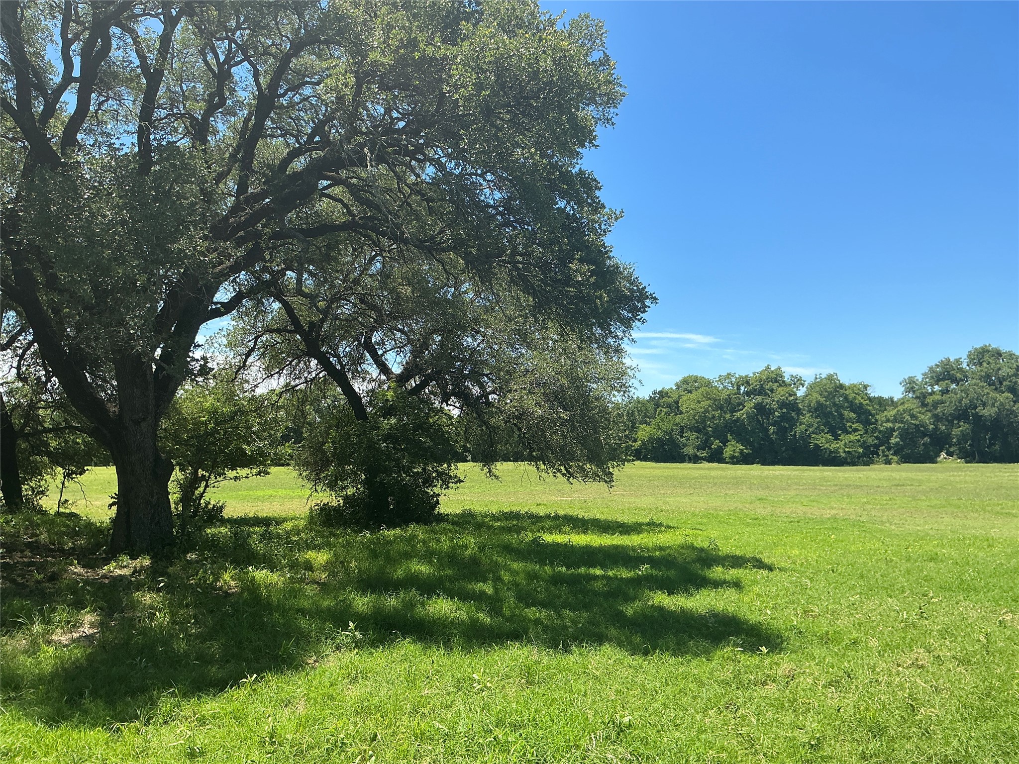 3900 County Road 304a Comanche TX 76442