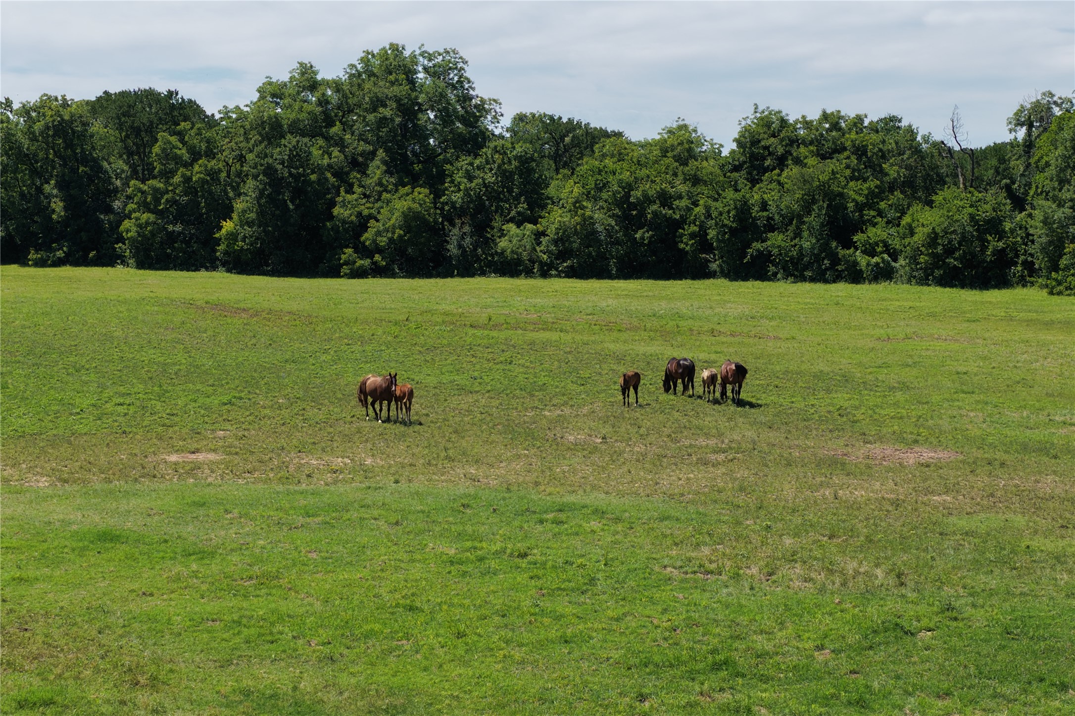 3900 County Road 304a Comanche TX 76442