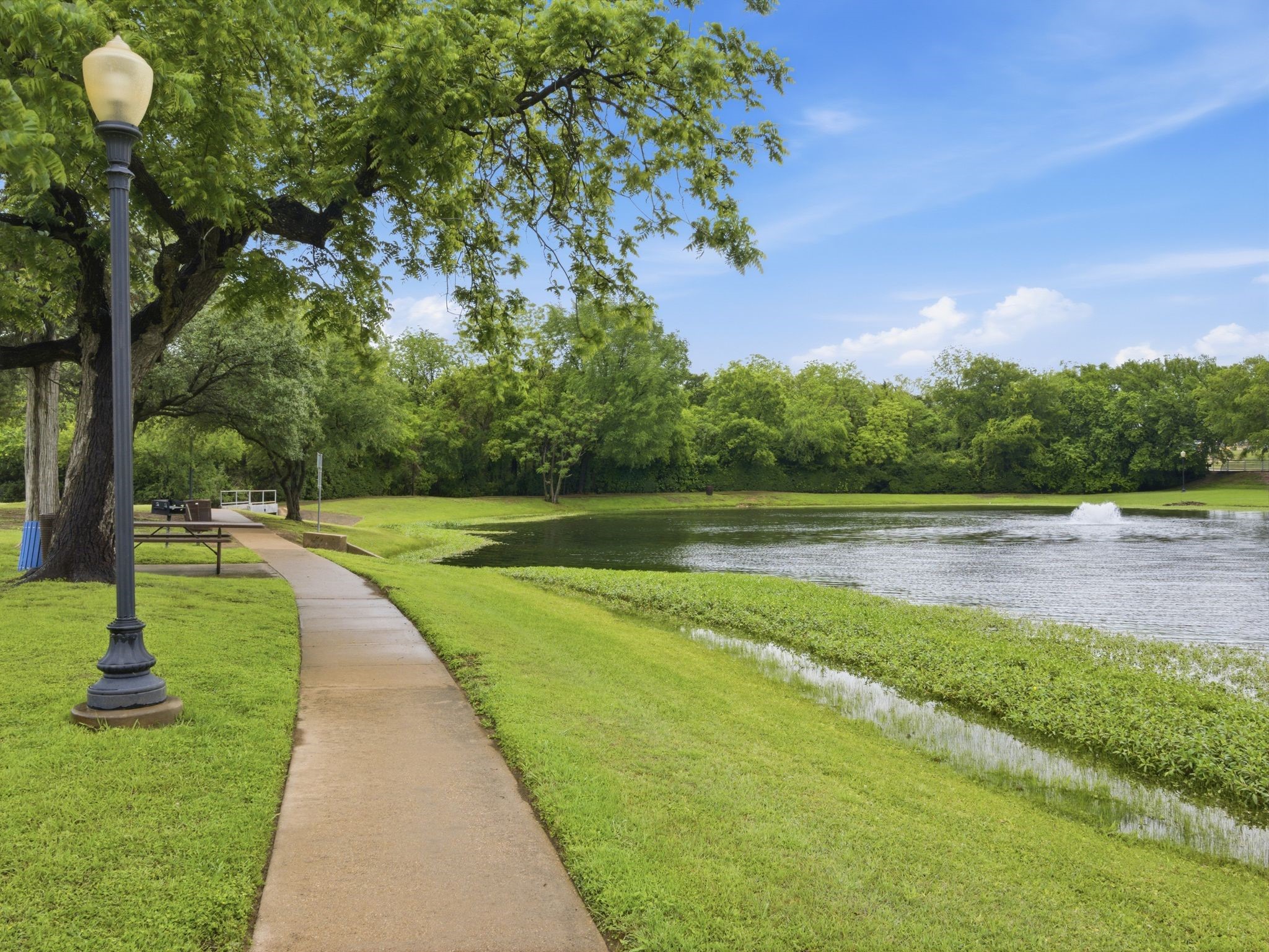 1089 Cove Hollow Drive Cedar Hill TX 75104