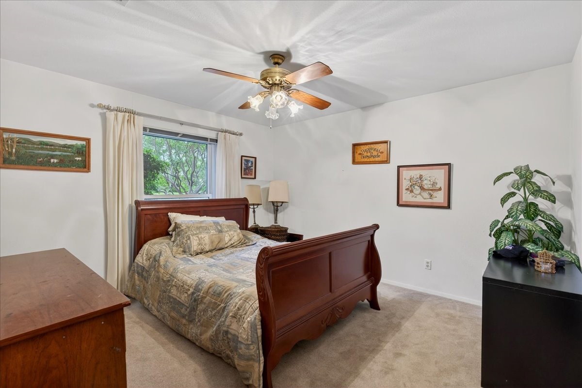 1808 E Cedar Elm Drive Arlington TX 76012
