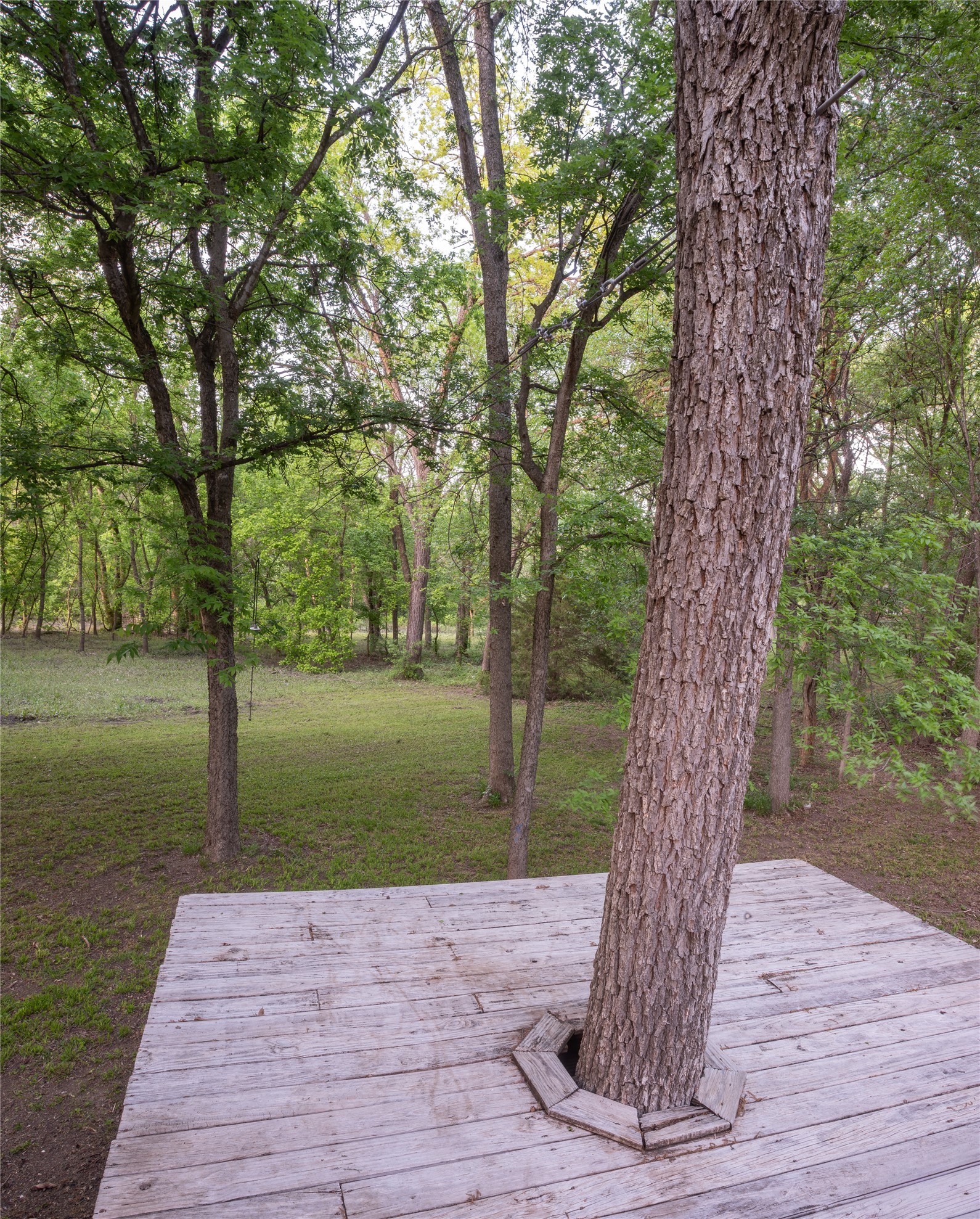 1451 Meandro Ria Lane Fairview TX 75069