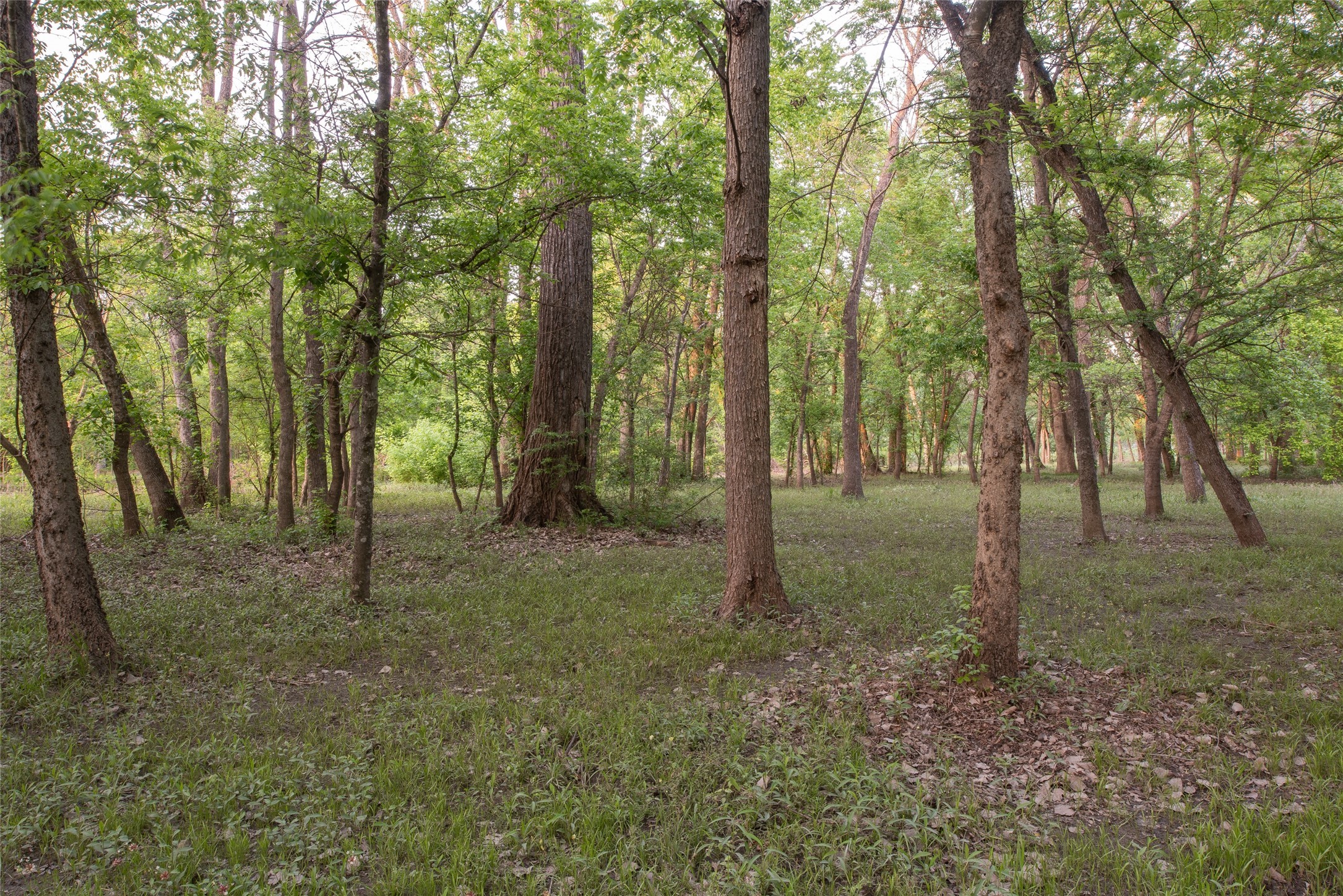 1451 Meandro Ria Lane Fairview TX 75069