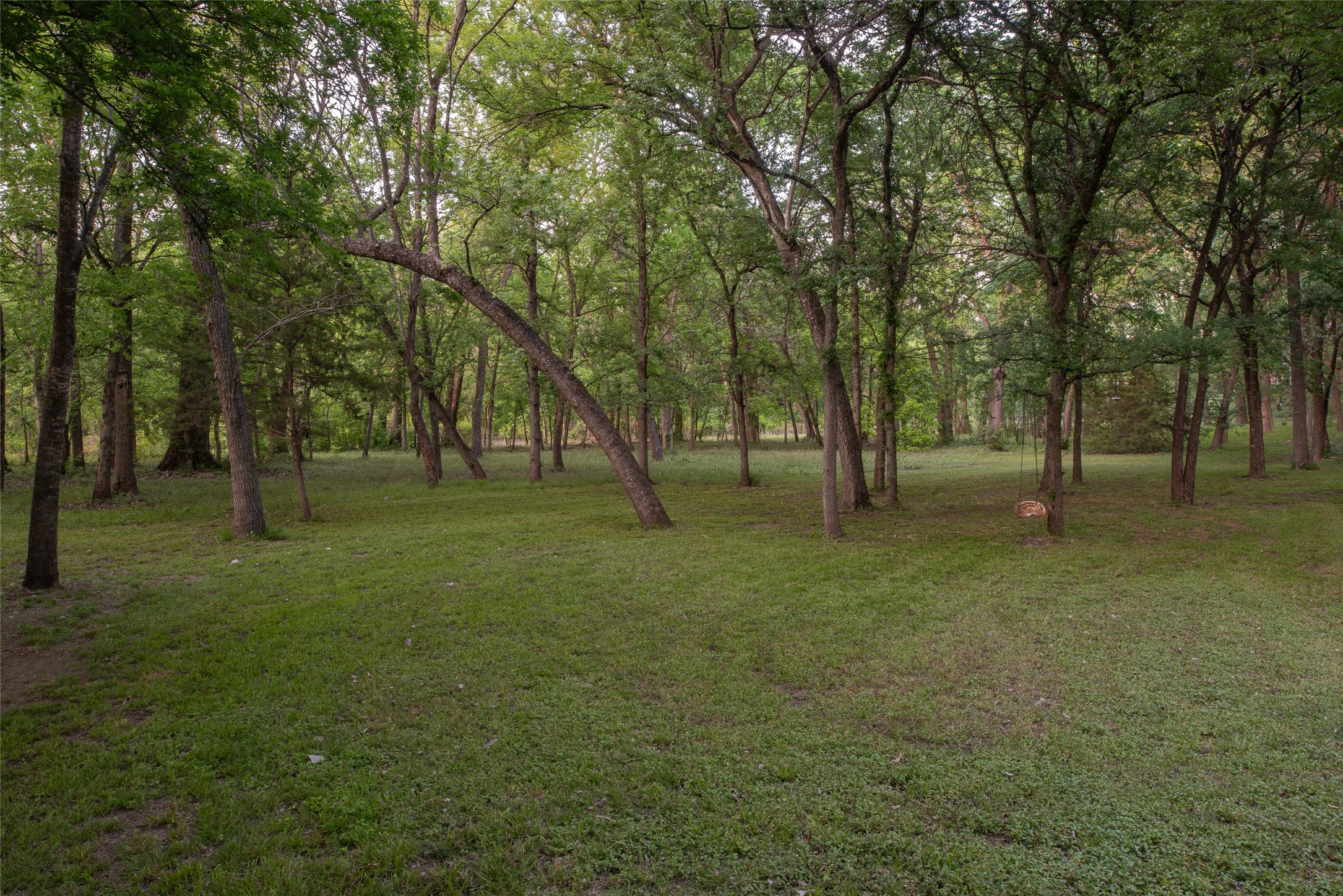 1451 Meandro Ria Lane Fairview TX 75069