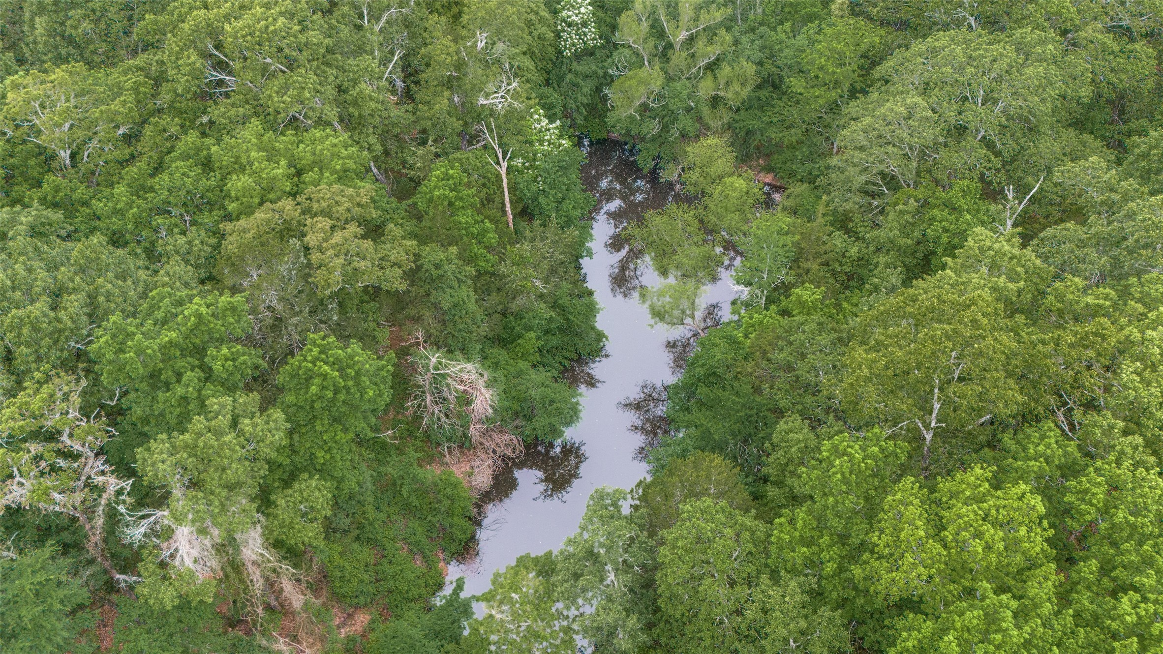 1565 Greer Road Sadler TX 76264