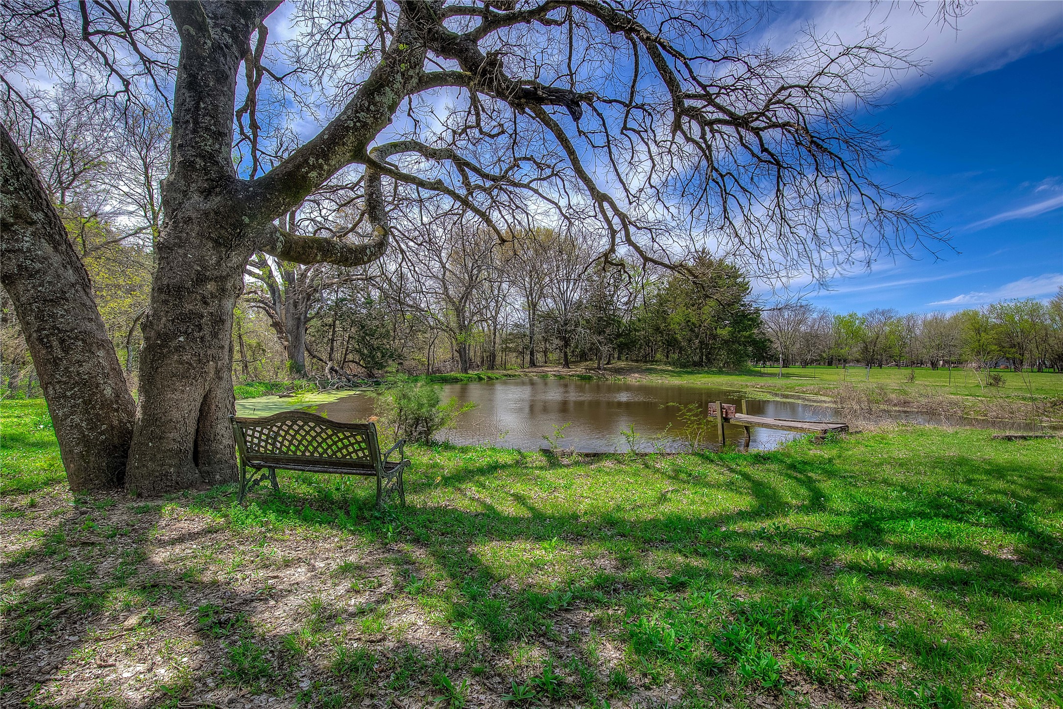650 Forrester Street Greenville TX 75401