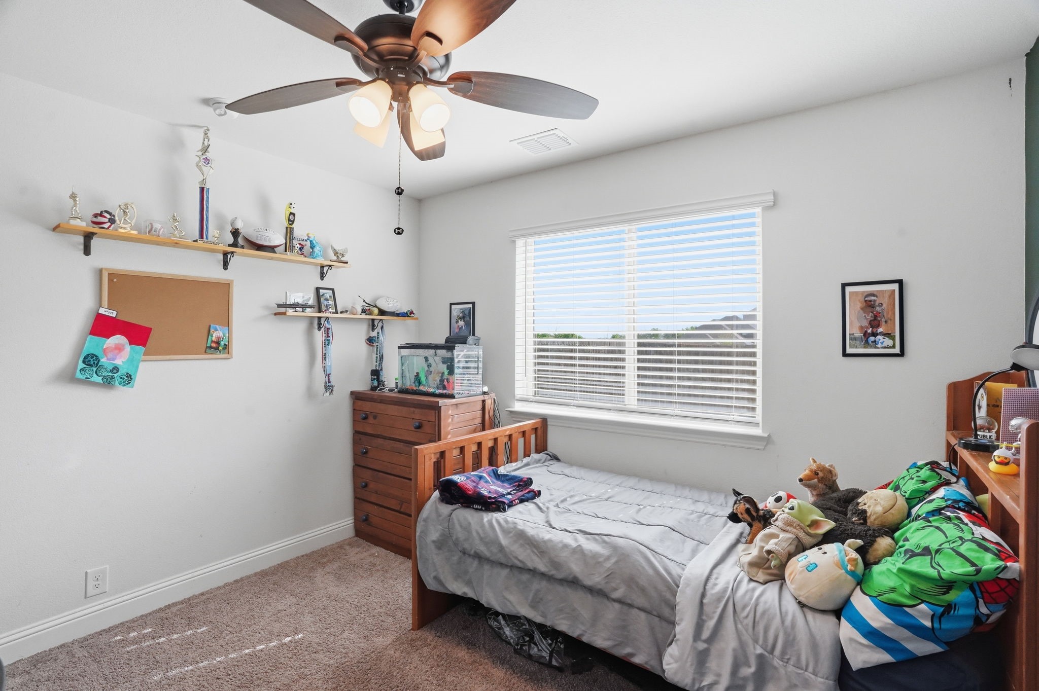 10004 White Pine Drive Fort Worth TX 76131