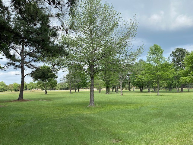 7601 Cr 3700 Murchison TX 75778