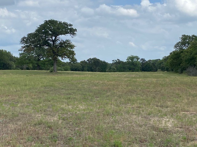 7601 Cr 3700 Murchison TX 75778