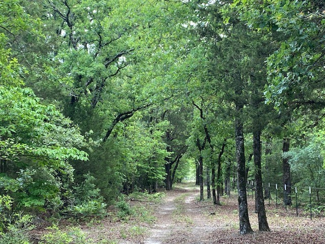 7601 Cr 3700 Murchison TX 75778