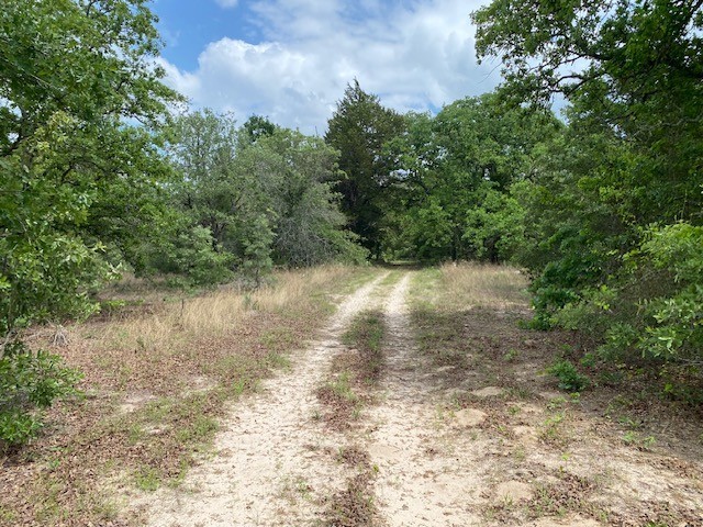 7601 Cr 3700 Murchison TX 75778