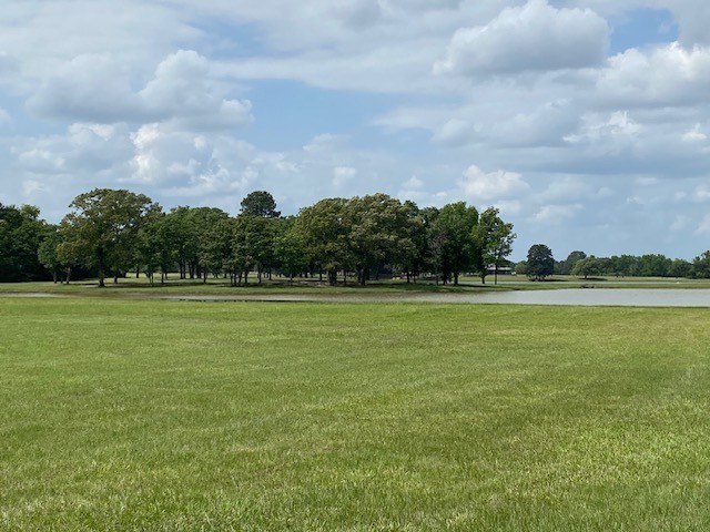 7601 Cr 3700 Murchison TX 75778