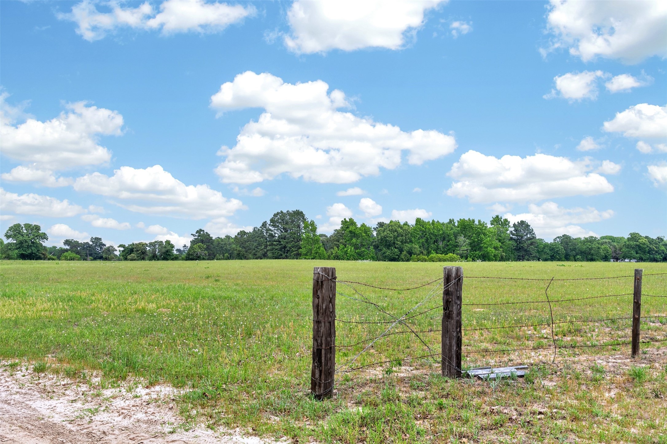 7601 Cr 3700 Murchison TX 75778