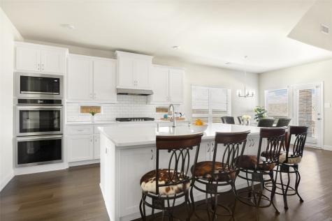 1411 Stellar Truth Way Wylie TX 75098
