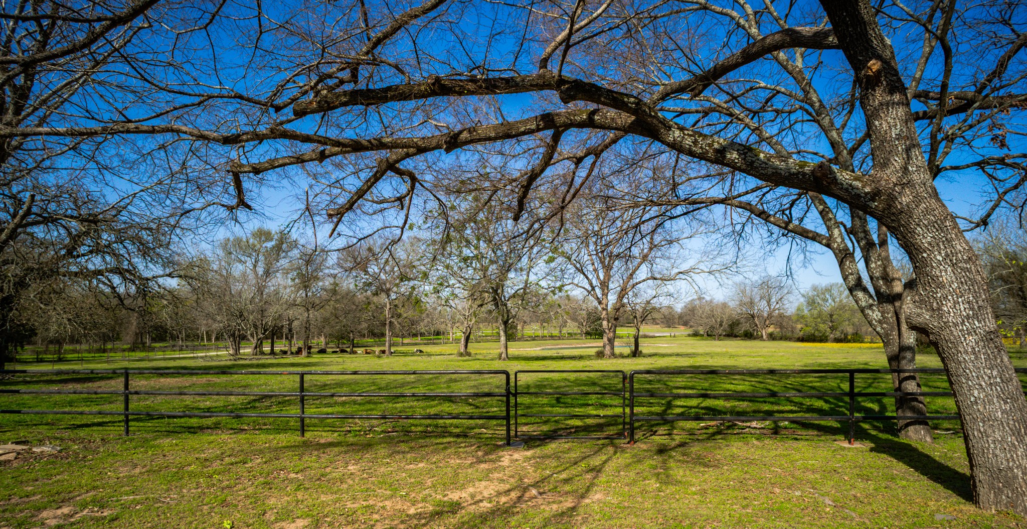 141 Lcr 405 Mexia TX 76667