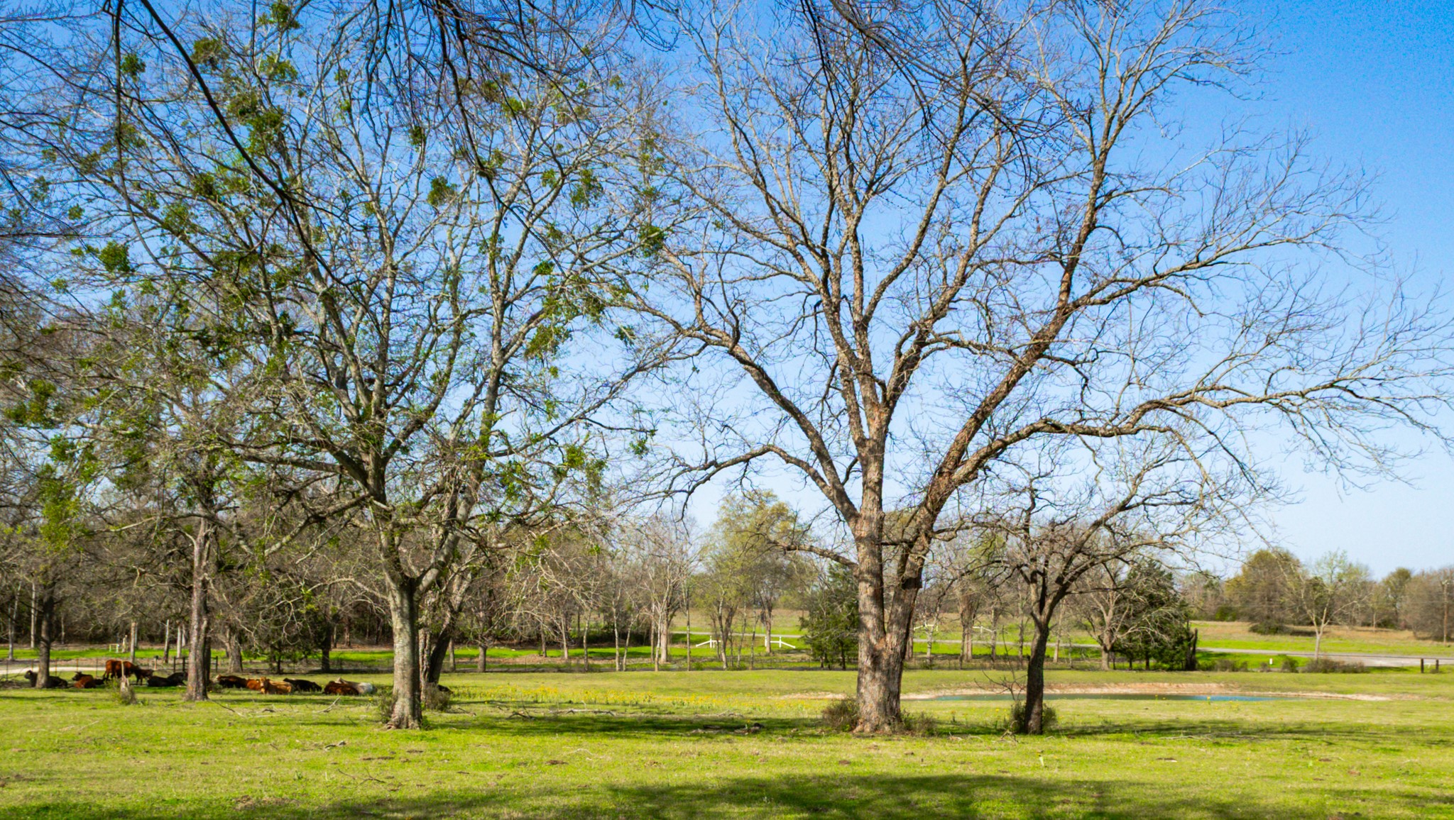 141 Lcr 405 Mexia TX 76667